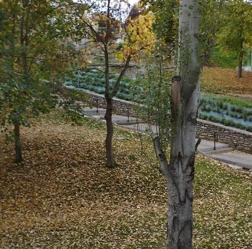 La Raca Διαμέρισμα *